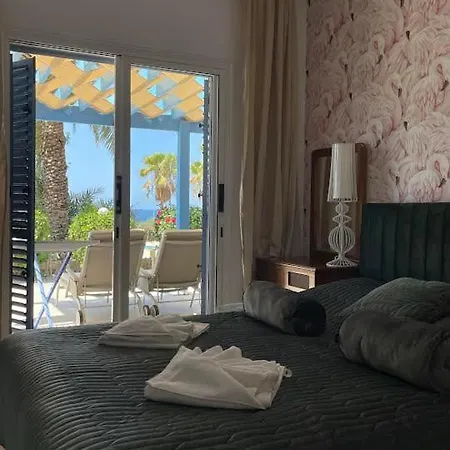 Timeless Cyprus * パ フォス