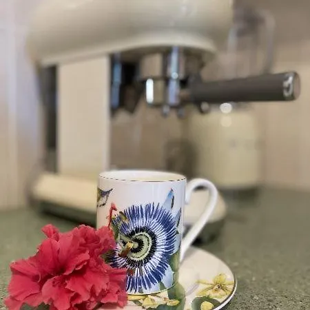 Timeless Cyprus パ フォス