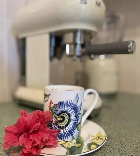 Timeless Cyprus Paphos