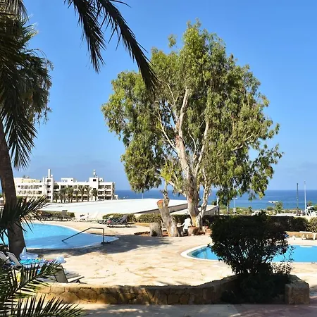 Timeless Cyprus * פאפוס